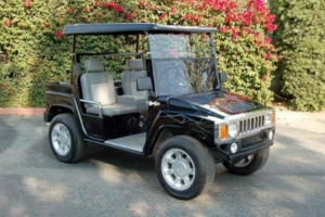affordable golf cart rental, golf cart rent newport news